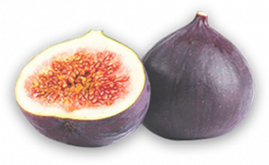home_section0_figs